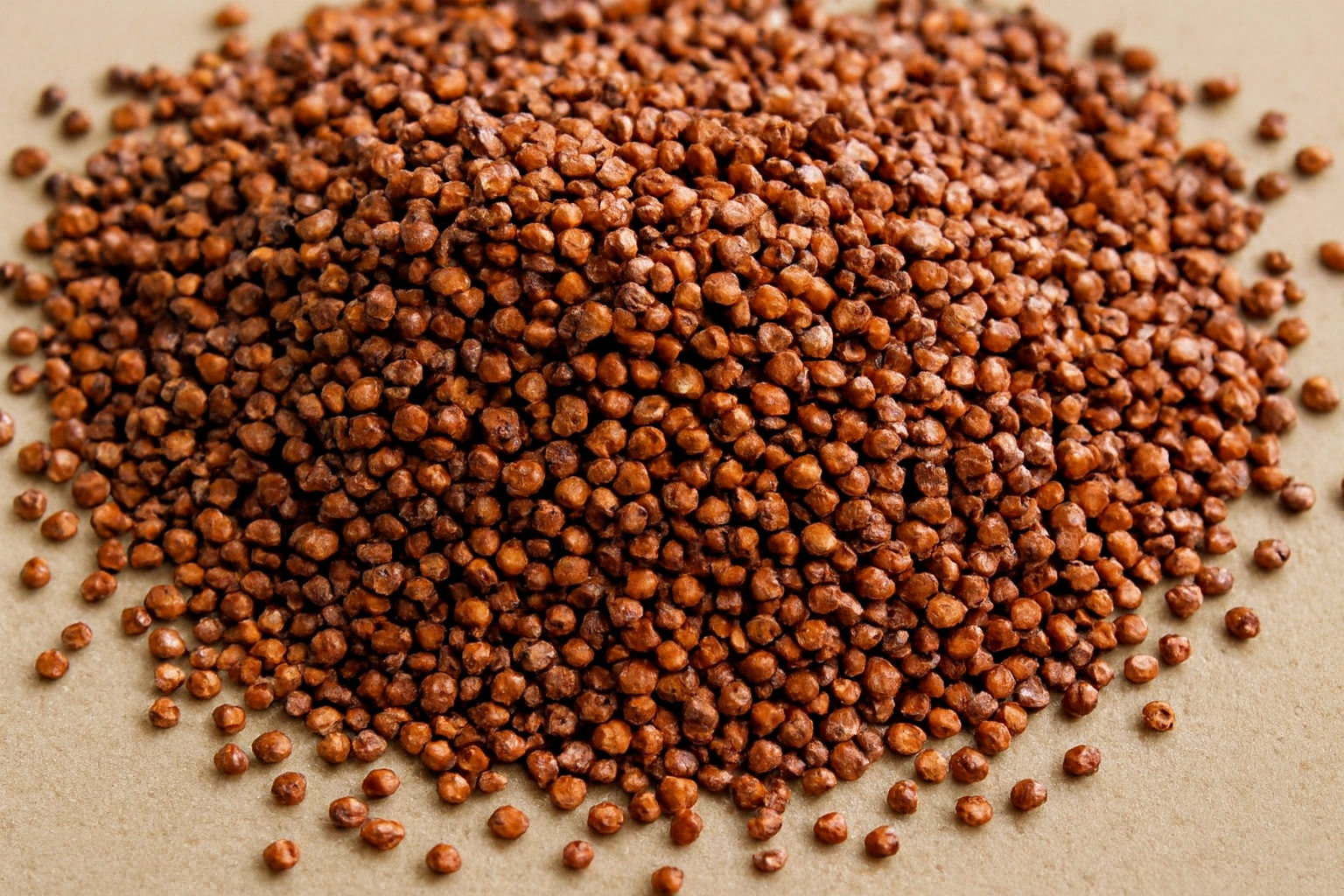 KIZMIZI KİNOA (Red Quinoa)
